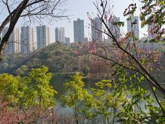 -重庆彩云湖湿地公园