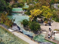 -吴淞炮台湾湿地森林公园烧烤区