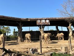 -上海野生动物园