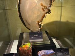 -中华赏石园