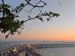 -星海湾跨海大桥