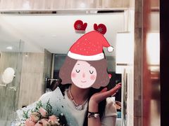 -常州环球恐龙城维景国际大酒店