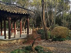 -上海佘山国家森林公园天马山园