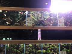 -龟与熊猫宠物公园(南坪店)