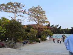 -广东惠东海龟国家级自然保护区