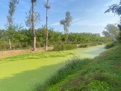-东郊湿地公园