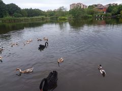 -上海长兴岛郊野公园