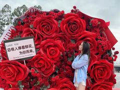-万科生活广场(东莞松山湖店)