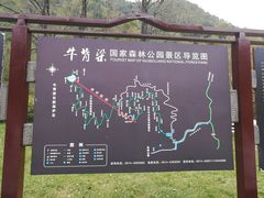 -牛背梁国家森林公园