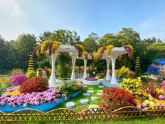 -上海共青森林公园