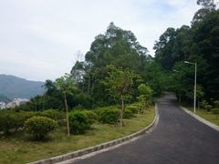 -火炉山森林公园