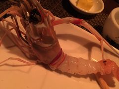 -斯普汇生蚝牛排馆(中骏世界城店)