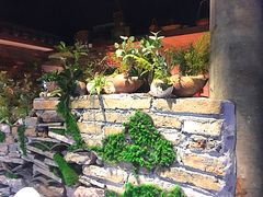 -茅炒屋龙虾·烧烤·湘菜(新河路店)