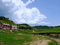 -关山草原