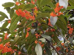 -辣公子·千岛湖私房菜(滨江店)