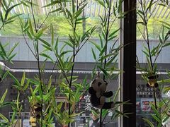 -蓉城小馆(科兴店)