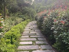 -桃花岭景区