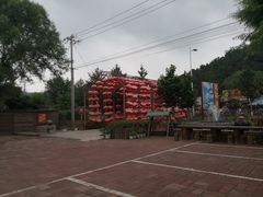 -龙福源密云水库灶台鱼