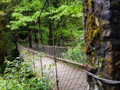 -西岭雪山大飞水景区