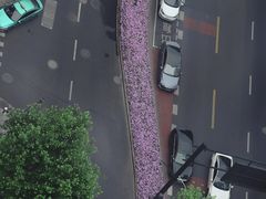 -Hi City·城市之巅