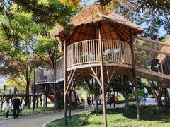 -宁波儿童公园(鄞州区)