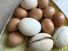 -吉顺坑烤