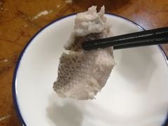 -金砂阿洲鱼册店