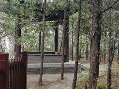 -阳台山自然风景区