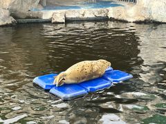 -西安华夏文旅水世界