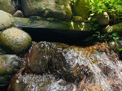 -成都市活水公园