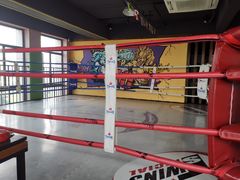 -臻元搏击格斗泰拳拳馆(港隆店)