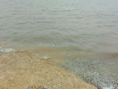 -瑶湖郊野森林公园