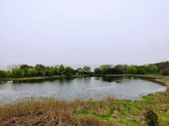 -上海市保健医疗中心