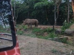 -清迈夜间动物园