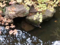 -鱼桥巷·美学川菜