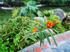 -广州神农草堂中医药博物馆