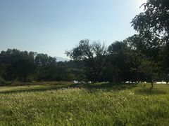 -福建鲤鱼洲酒店