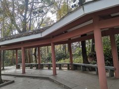 -九曜山