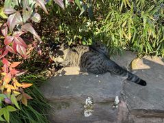 -杭州半山国家森林公园