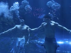 -华夏文旅海洋公园