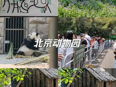 -动物园(地铁站)