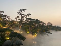 -罗红摄影艺术馆