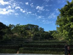 -东部华侨城