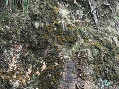 -东南悬空寺方广岩