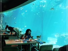 大堂-海棠湾洲际-涛·海底餐厅·美人鱼·自助餐·海底隧道
