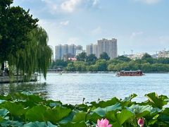 -济南大明湖景区