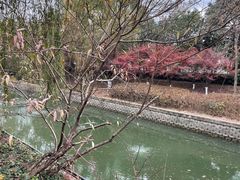 -映月湖中央公园