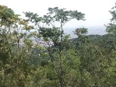 -府君山公园
