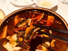 渝信毛血旺-渝信川菜(华盛店)