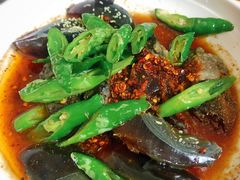 青椒皮蛋-胖胖板凳面